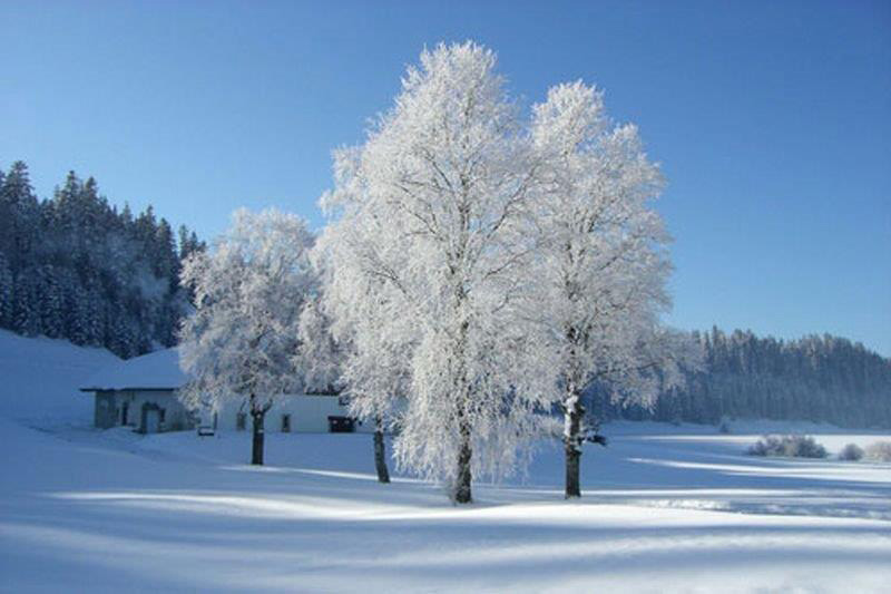 Herzlichen Dank liebe Kunden für die Jahrelange Treue. Geniesse ab Februar 2026 meine Pension. Ich sage Tschüss und wünsche allen Frohe Festtage und alles Gute für das Jahr 2026. Josef Stadelmann
